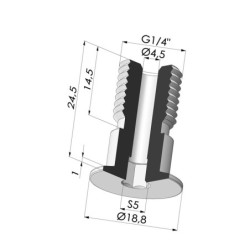 Vite G1/4" - ØTesta 19MM - L 24.5MM