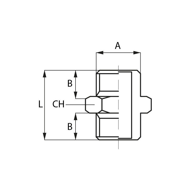 Novacom : Mâmelon Mâle / Mâle - Cylindrique